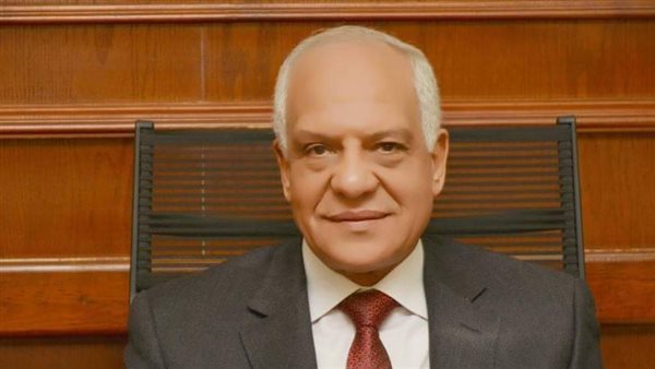 محافظ الجيزة 