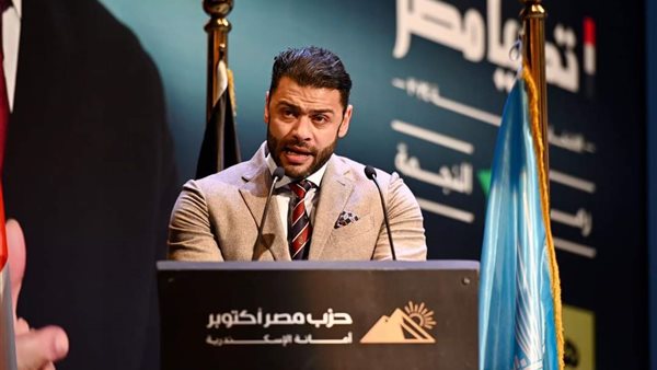 المهندس أحمد حلمى