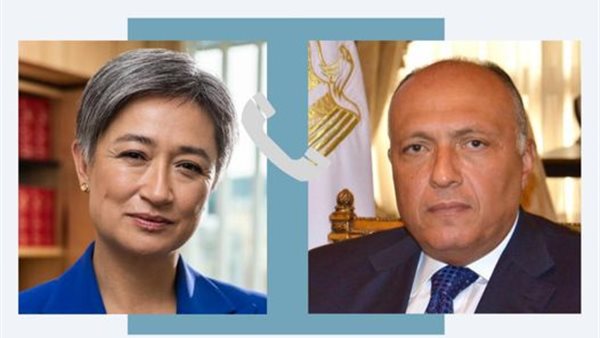 سامح شكري- بينى وونج