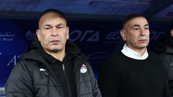 حسام حسن وابراهيم