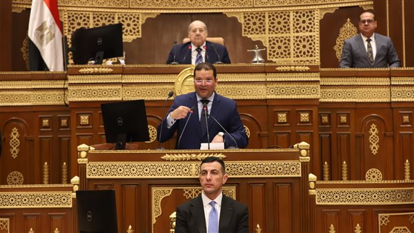 إيهاب أبو عيش نائب