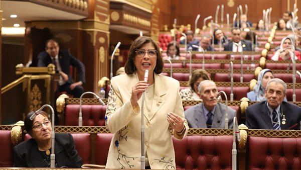 النائبة راندا مصطفى