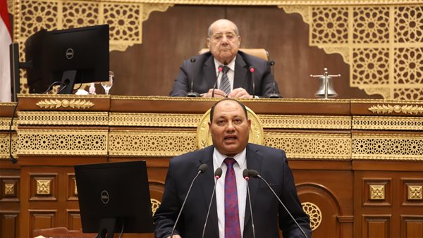 الدكتور مصطفى الصياد