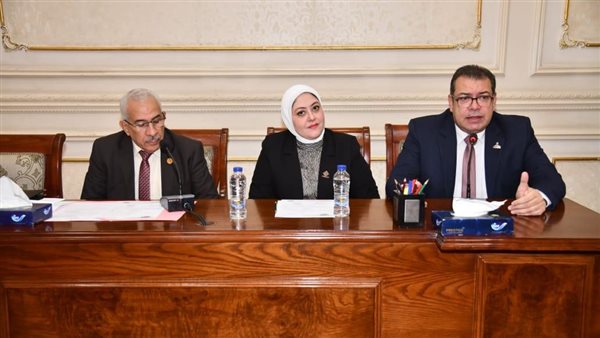 النائب محمد صبري