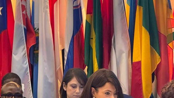 وزيرة التعاون الدولي