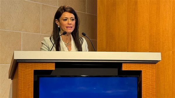 وزيرة التعاون الدولي