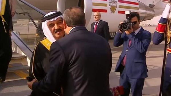 الرئيس السيسي - ملك