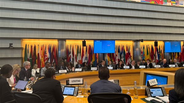 وزيرة التعاون الدولي