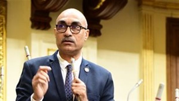 المهندس ايهاب منصور