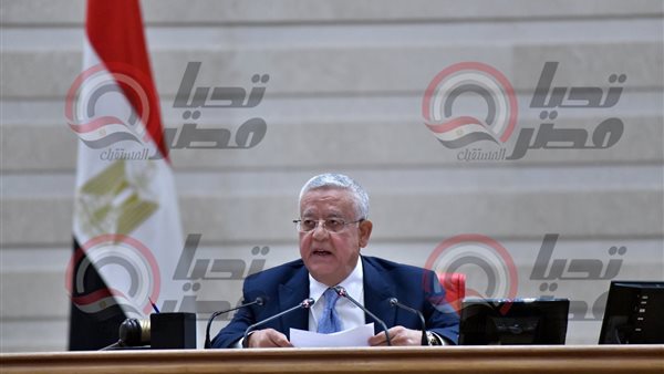 المستشار الدكتور