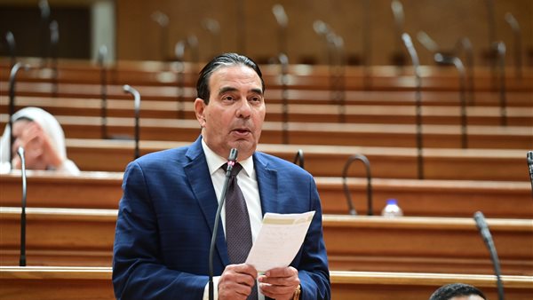 أيمن أبو العلا 