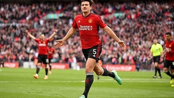 هاري ماجواير