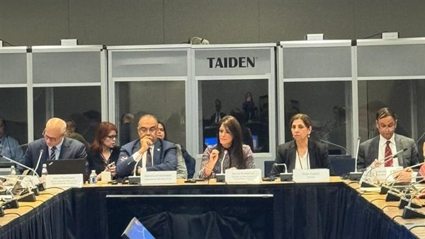 وزير التعاون الدولي