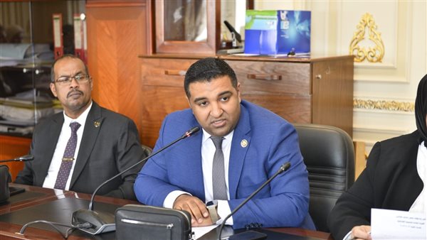 النائب محمود عصام