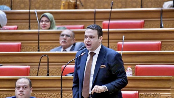 النائب عبد المنعم