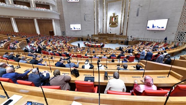 النائب عبدالمنعم