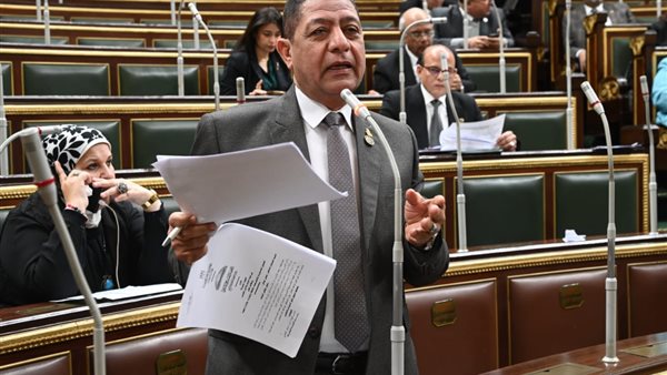 النائب أسامة المصري،