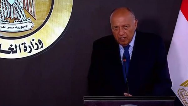 وزير الخارجية المصري