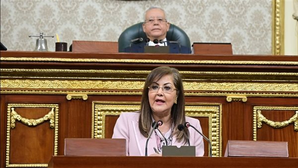 وزيرة التخطيط أمام