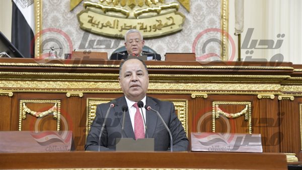  وزير المالية