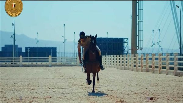 الفنان أحمد السقا