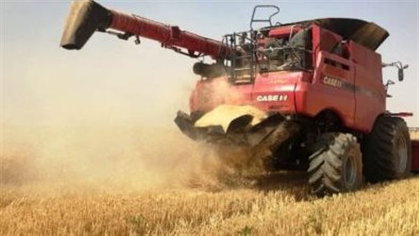 القمح والطقس