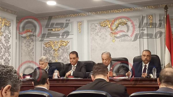 لجنة الشئون الدستورية