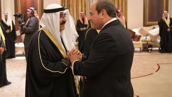 الرئيس السيسي - الشيخ