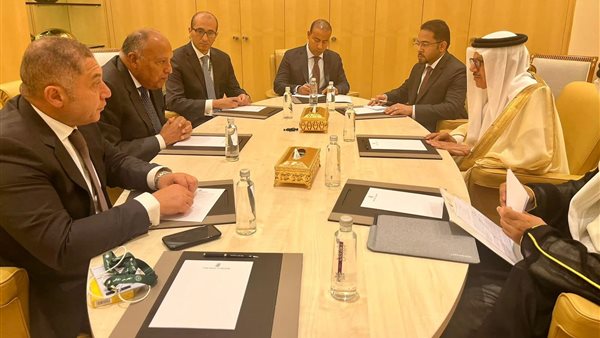 شكري يلتقي بنظيره