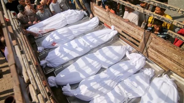 ارتفاع جديد في عدد