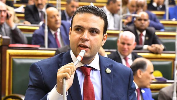 النائب عبدالمنعم