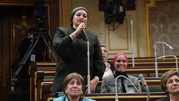  النائبة سولاف درويش