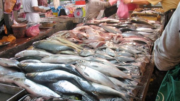 بيع الأسماك المملحة