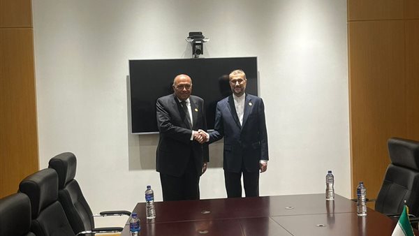 شكري - أمير عبد اللهيان