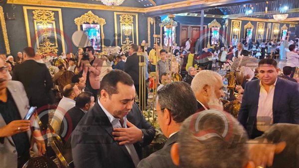 المهندس محمد الشنراوي