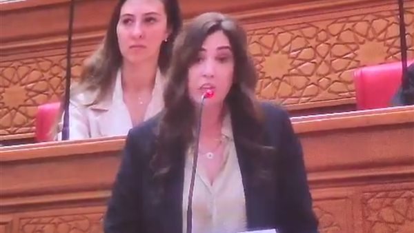 النائبة أميرة العادلي