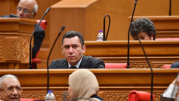 النائب محمد السلاب