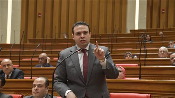 النائب عبدالمنعم