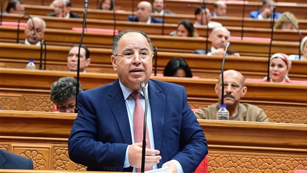 وزير المالية