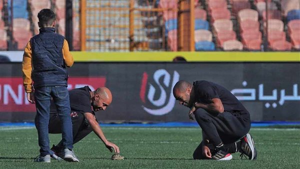 ستاد القاهرة