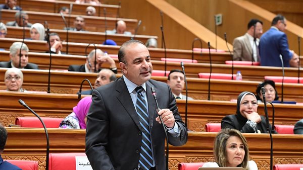 نائب وزيرة التخطيط