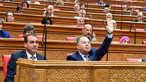 وزير المالية