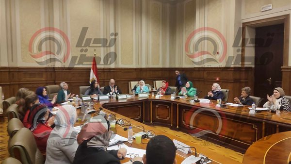 لجنة التضامن بمجلس