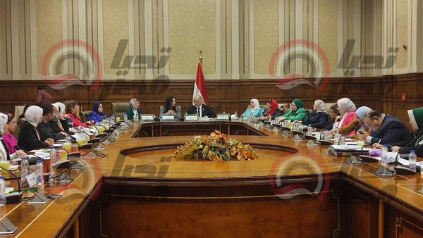  لجنة التضامن الاجتماعي