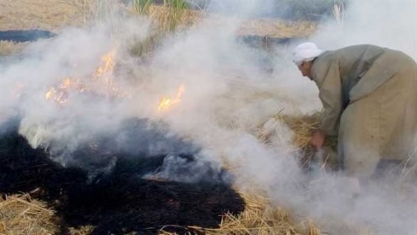 مصرع مسن بالغربية