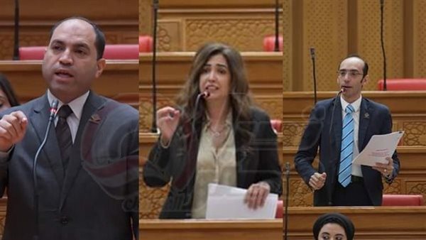 نواب تنسيقية شباب