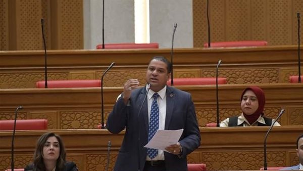 النائب البرلماني