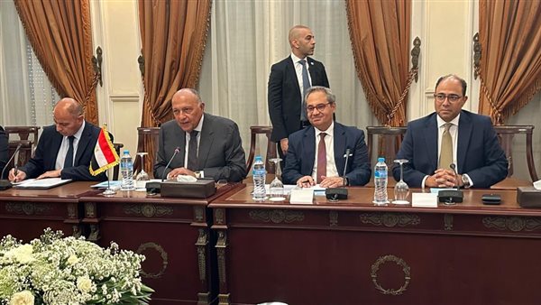 شكري يجري جلسة مباحثات