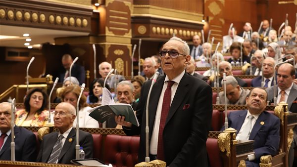 بهاء الدين أبو شقة