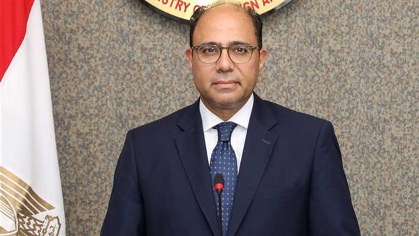 السفير أحمد أبو زيد،